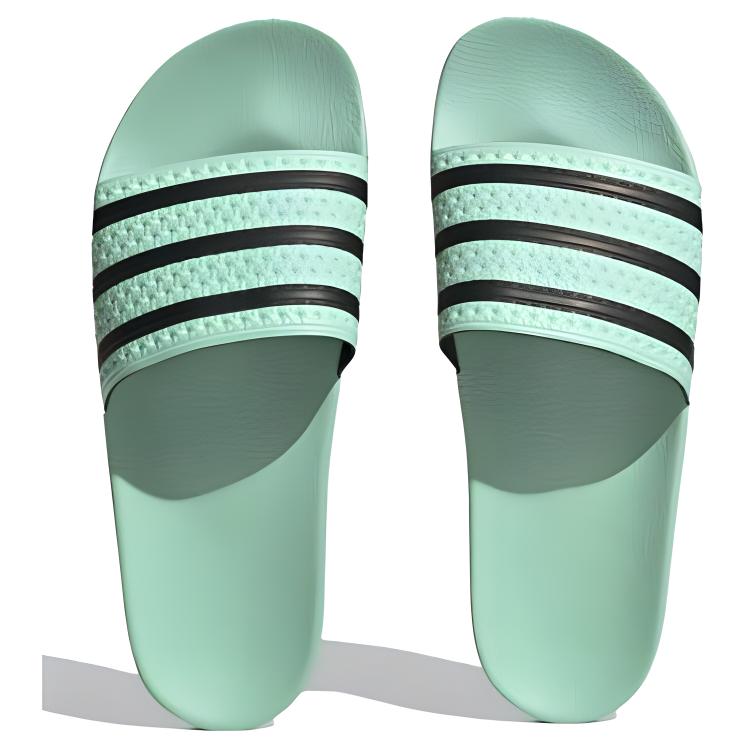Lookbook アディレッタ スライド "パルスミント" HP6508