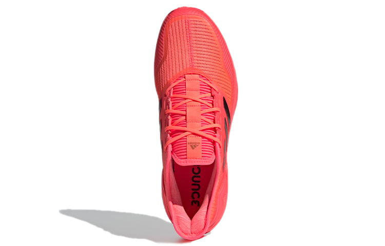 Purchase アディダス Adipower ホッケー 赤黒 FX2015