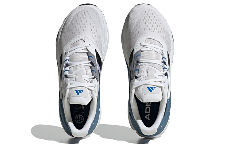 Purchase 아디다스 아디스타 CS 2.0 '화이트 블루' 러닝화 HP9636