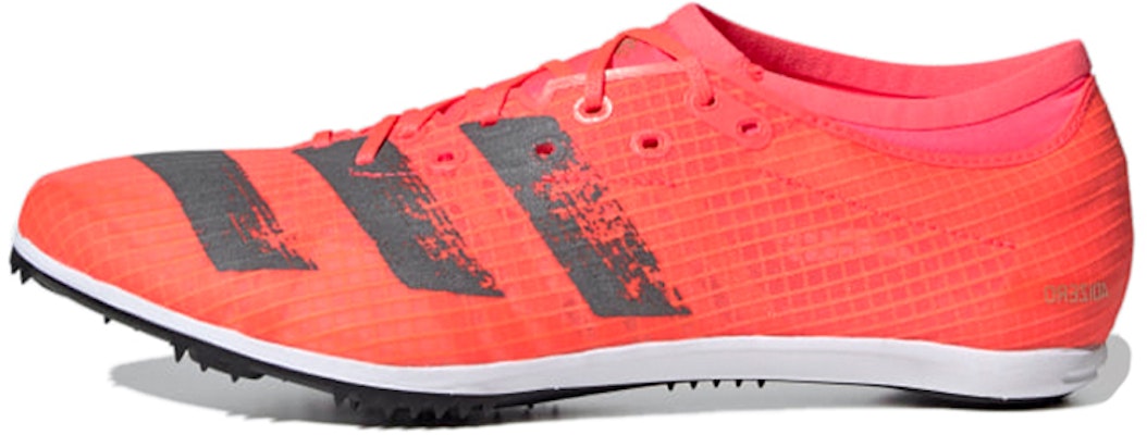 adidas Adizero Ambition Paku Lari EG6170 Buy adidas Adizero Ambition Paku Lari EG6170