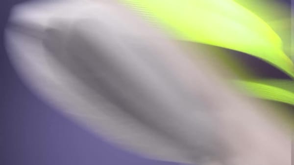 Lookbook Adidas Adizero Boston 13 Solar Yellow/Aurora Plum/Powder Plum JP9251