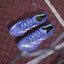 Cheap adidas Adizero Prime SP 3 Strung 'Biru Kobalt' IH5222