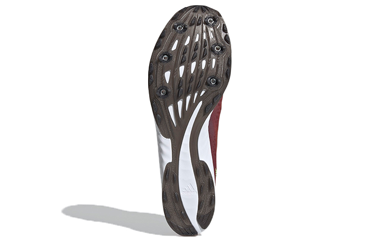 Details for adidas Adizero Xc Sprint ''Rot Grün'' EG8453