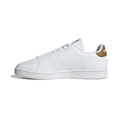 adidas Advantage 'White Brown'
