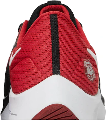 エア ズーム ペガサス 38 "ジョージア" DJ0828-001 Sizing エア ズーム ペガサス 38 "ジョージア" DJ0828-001