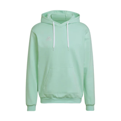 adidas Alphabet Print Hoodie Long Sleeve - Clear Mint HC5081