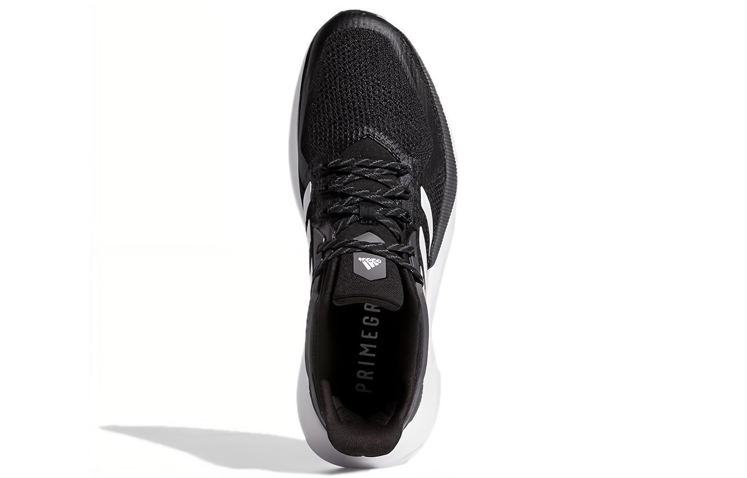 Purchase adidas Alphatorsion 2.0 ''Noir Blanc'' GZ8738