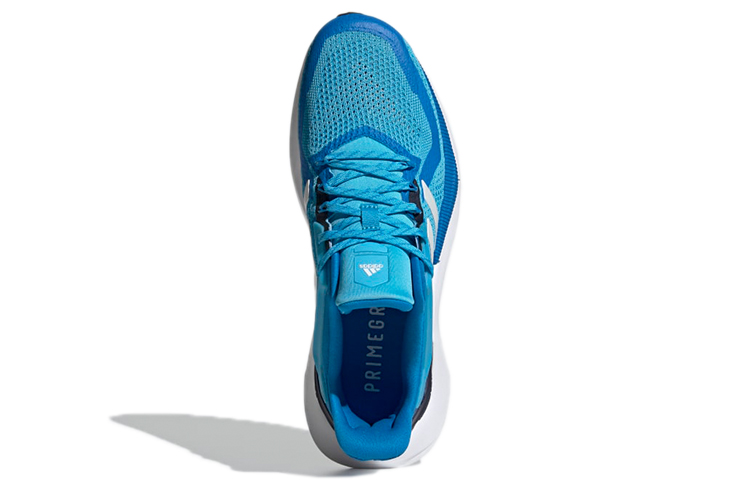 Purchase 아디다스 알파토션 2.0 '블루' (Adidas Alphatorsion 2.0 'Blue') GY0596