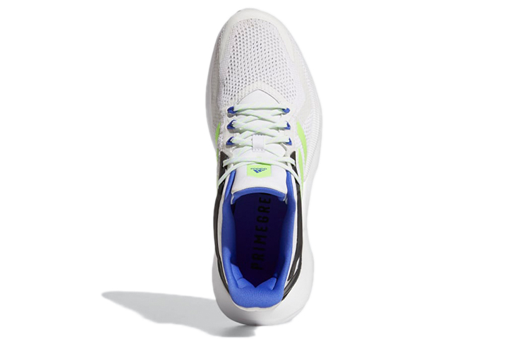 Purchase adidas Alphatorsion 2.0 舒適 減震 低筒 慢跑鞋 男款 雲白色