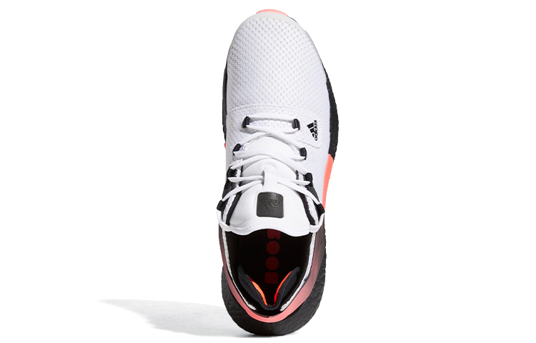 Purchase アルファトーションBoost 黒ピンク FV6168