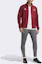 Details for adidas Jaket Arsenal Anthem Craft Red Logo Kerah Tinggi Lengan Panjang HZ2080