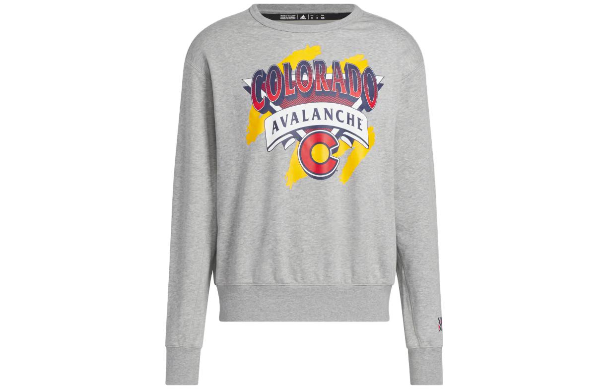 adidas Avalanche Vintage Crew Sweatshirt Grey Graphic Long Sleeve Top HN6384