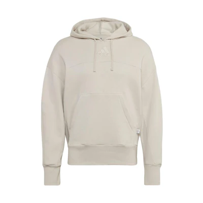 adidas Beige Pullover Sweatshirt with Logo Applique (Japan Edition) HC5881-JAPAN