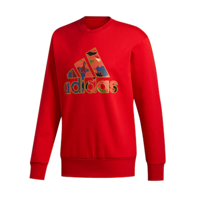 adidas Big Logo Basketball Pullover Hoodie Light Scarlet GH5007