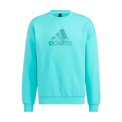 adidas Blue Logo Printed Crewneck Long Sleeve Sweatshirt HM2983