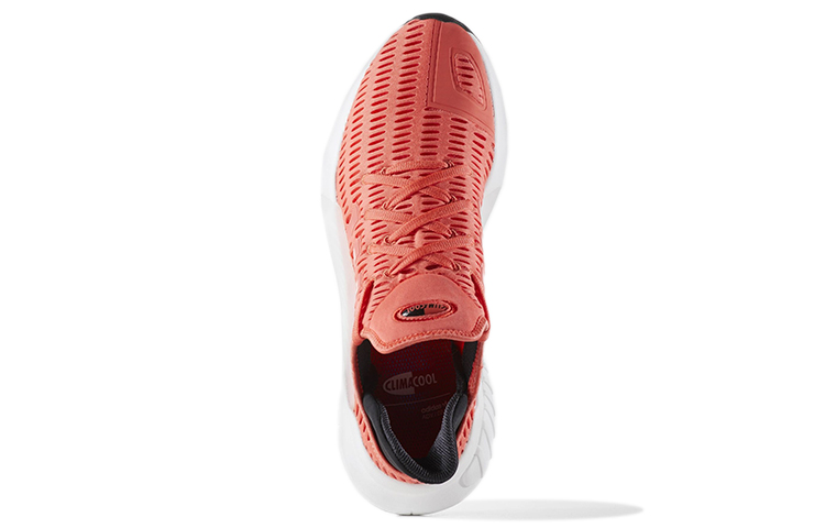 Purchase adidas ClimaCool 02/17 'Coral' Wanita CG3343