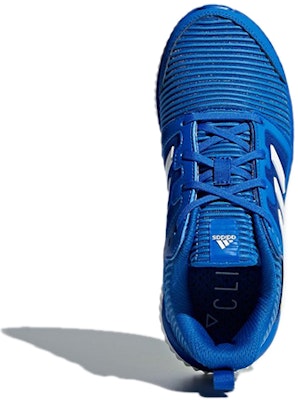 (Youth) adidas Climacool Vent J 'Blue Green White' CP8783 Purchase (Youth) adidas Climacool Vent J 'Blue Green White' CP8783