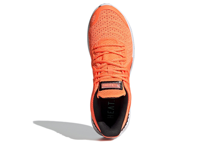 Purchase adidas Climacool Vent 低筒 跑步鞋 男女共用 橙黑色