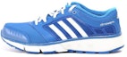 Details for 阿迪达斯 ClimaWarm '蓝白' D66731