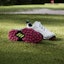 Shop adidas Codechaos BOA 25 'Hijau Kolej' IG8705