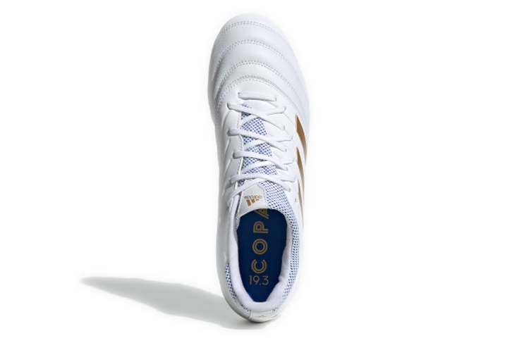 Purchase adidas Copa 19.3 Wit F35492