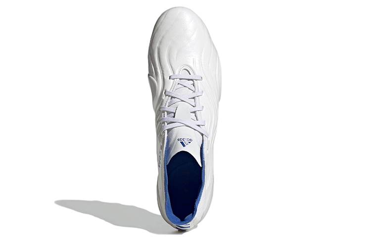 Purchase adidas Copa Sense.1 AG ''Wit Blauw'' GW3547