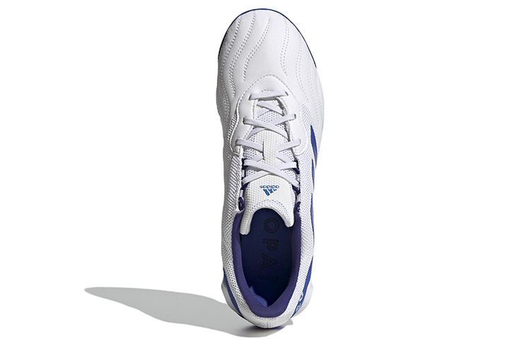 Purchase adidas Copa Sense.3 Sala 耐磨防滑足球鞋 白藍