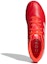 Purchase 아디다스 코파 센스.4 실내 빨강/흰색 (55 characters) FY6181