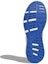 Details for adidas Cosmic 'Biru Kolej' AQ2182