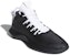 adidas Crazy 1 ADV 'Hitam Putih' AQ0321
