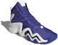 Lookbook adidas Crazy 8 Primeknit ADV ''Viola Reale'' CQ0988