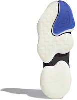 Sizing adidas Crazy BYW 'Real Purple' B37550