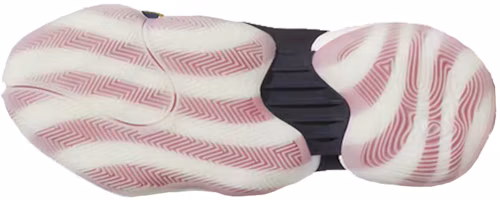 Shop adidas Crazy Byw X Veterans Day 老兵 實戰籃球鞋 黑白紅
