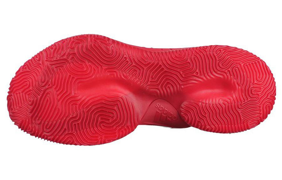 Shop クレイジーエクスプローシブ '17 レッド (70 characters) BY3769