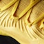 Details for adidas Crazy Explosive 2017 Primeknit 'Equipment Yellow' Kuning BY4472