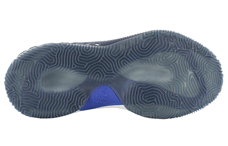 Purchase adidas Crazy Explosive 藍色
