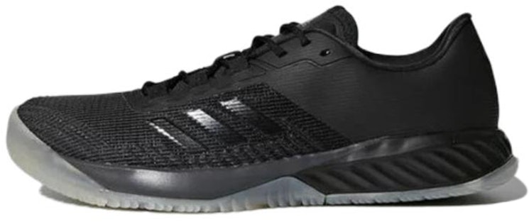 adidas-crazy-fast-trainer-cg-3102