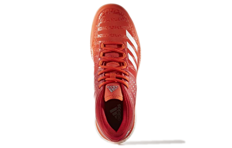 Purchase adidas Crazyflight ''Rode Low-Top Volleybalschoenen'' BY2585