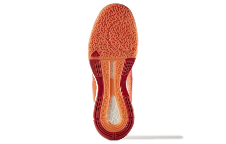 Details for adidas Crazyflight ''Rode Low-Top Volleybalschoenen'' BY2585