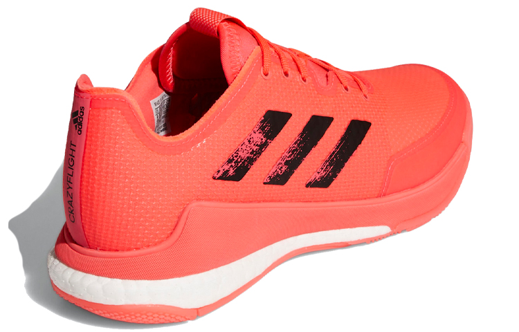 Shop adidas Crazyflight ''Tokyo'' Scarpa da Pallavolo FX1764