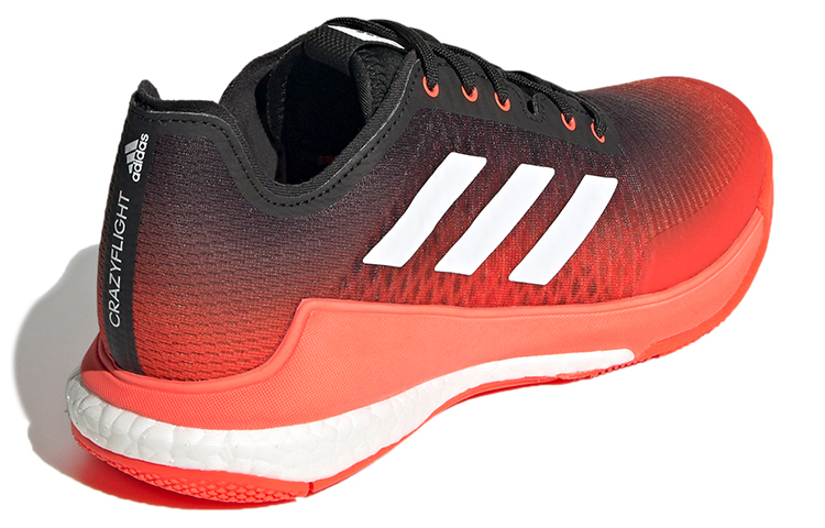 Shop adidas Crazyflight Volleybalschoenen ''Rood Zwart'' FZ4674