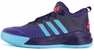 adidas Crazylight 2.5 Active Shoes 'Royal Blue' AQ8599