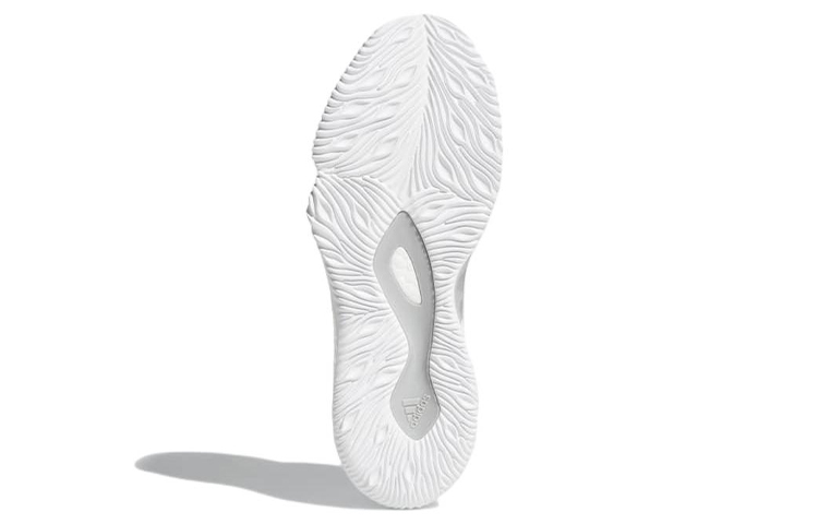 Details for adidas Crazylight Boost ''Wit'' AQ0007