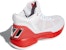 adidas D Rose 10 'Kelabu Dash Scarlet' EH2100