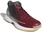 Lookbook adidas Rose 10 Kasut Burgundy 'Merah Kelabu' G26161