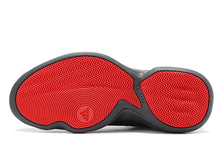 Details for 愛迪達 D Rose 10 '猩紅' G26162