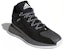 adidas D Rose 11 'Hitam Kelabu' FU7404