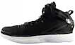 Buy 阿迪达斯D Rose 6 Boost黑白色款 F37128