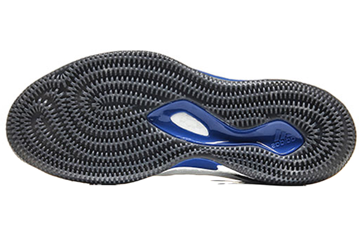 Details for adidas D Rose 8 Weiß Blau CQ0830