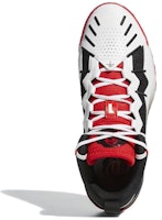 Dローズ サンオブチ "シカゴ" GW3830 Purchase Dローズ サンオブチ "シカゴ" GW3830